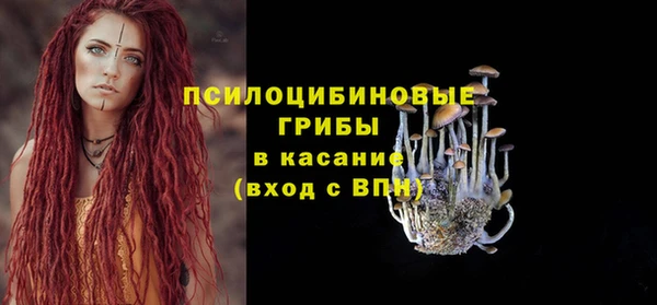 дурь Алексеевка