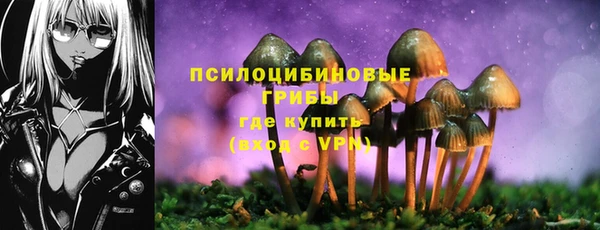 дурь Алексеевка