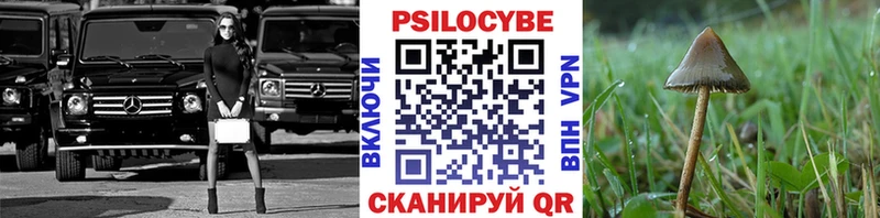 Псилоцибиновые грибы Psilocybe  Дыгулыбгей 